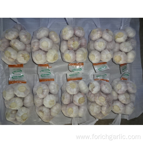 Fresh 2019 Normal White Garlic